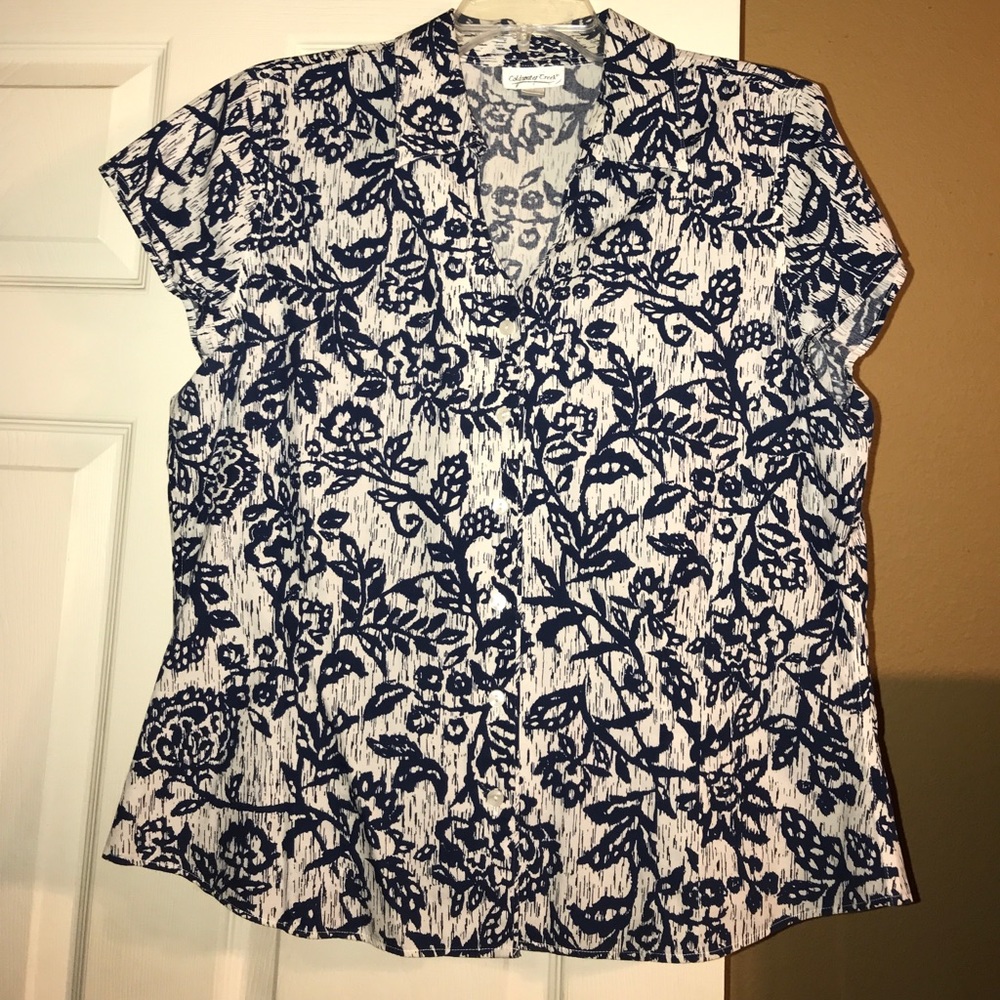 Coldwater Creek button down blouse